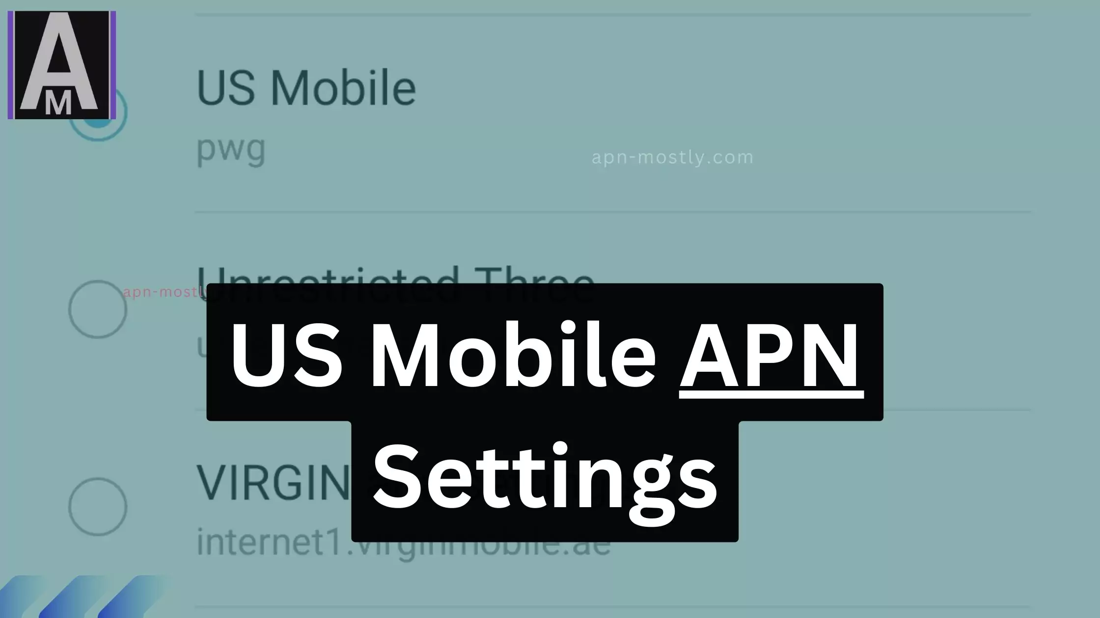 US Mobile apn Settings 2024 (fastest) APN Mostly