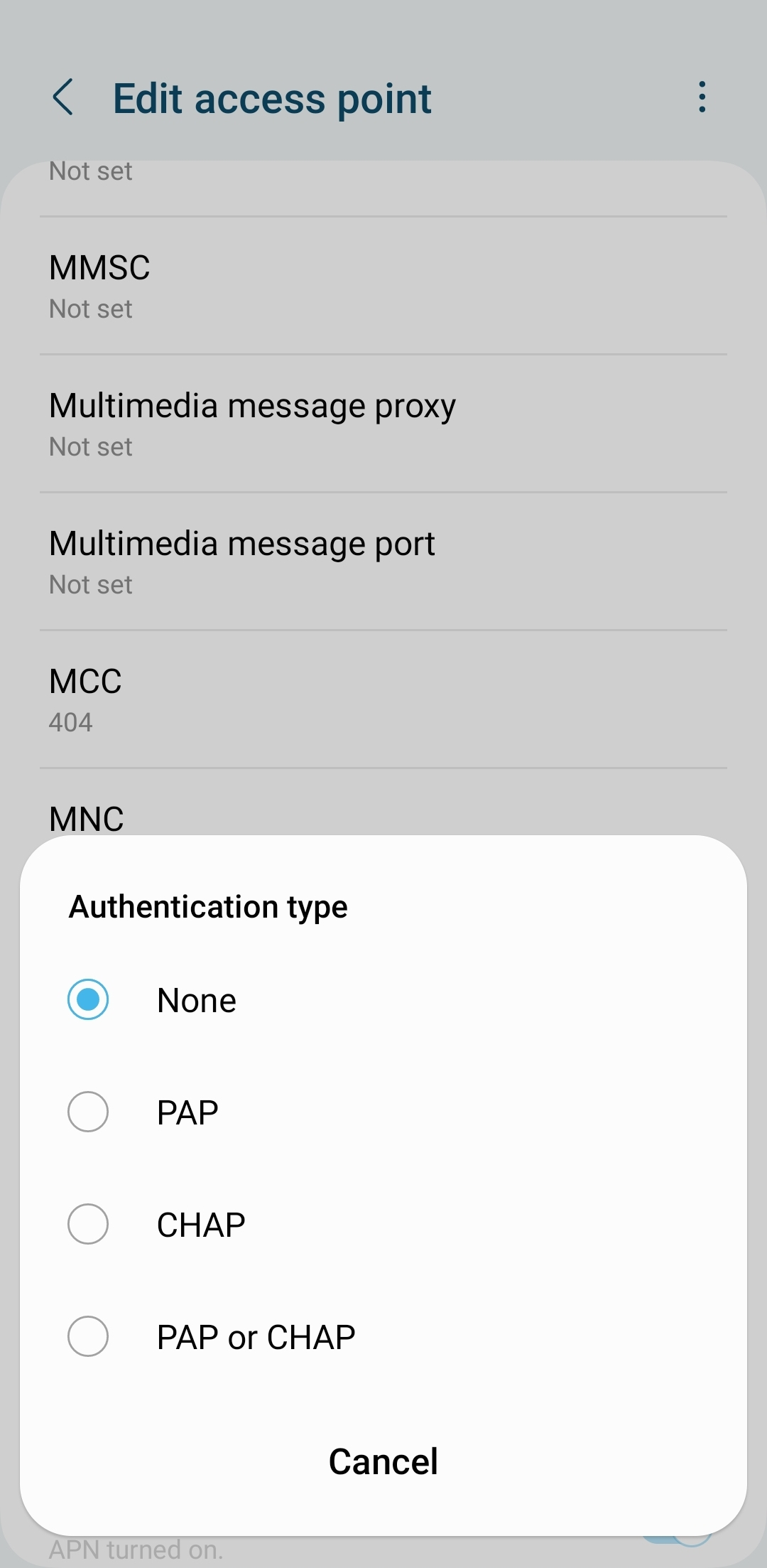 authentication type from access point names screenshot