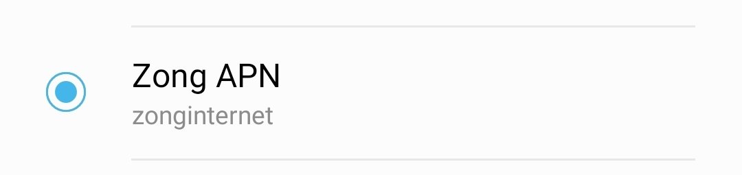 screenshot of cropped zong apn