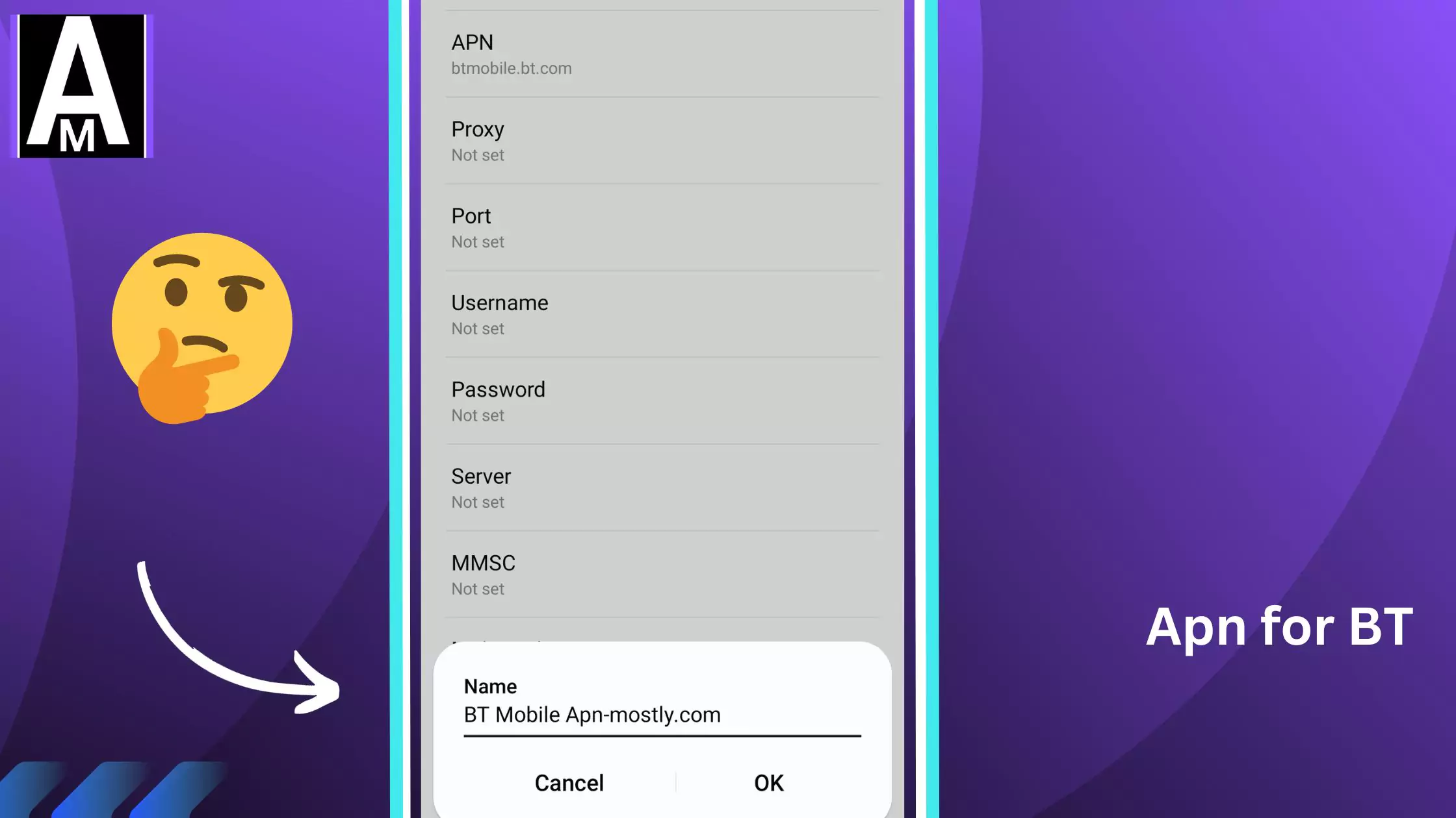 screenshot of apn for BT editing
