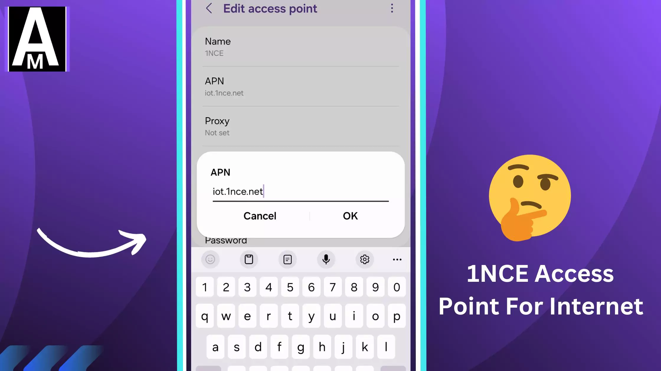screenshot of editing 1nce internet config with thinking emoji