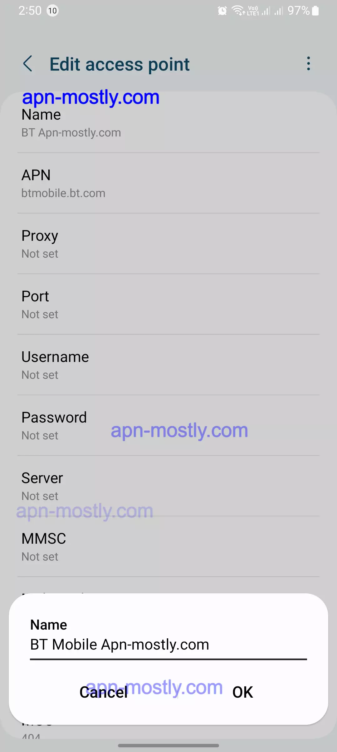 screenshot of making a BT APN for internet