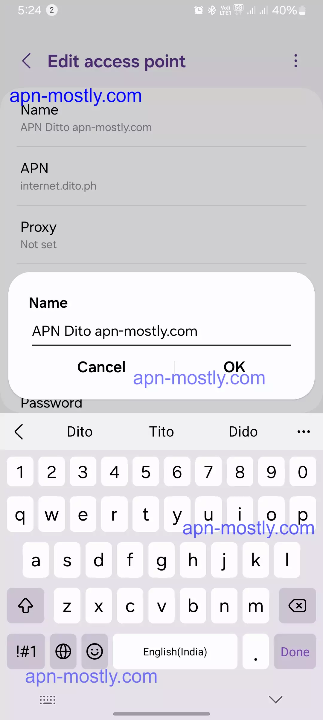 screenshot of naming the dito apn config