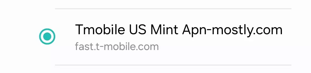 screenshot of cropped tmobile us mint apn by apn-mostly.com