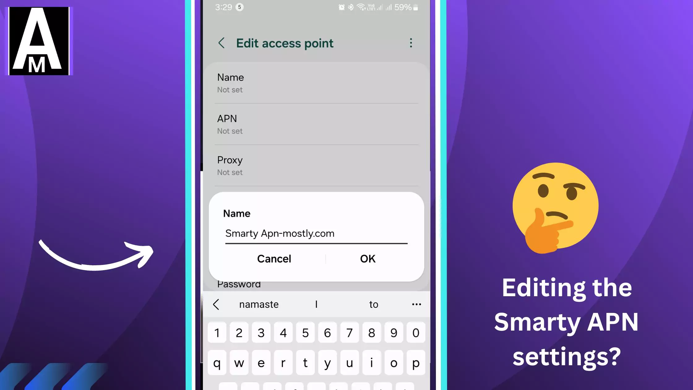 screenshot of editing apn for smarty apn with thinking apn