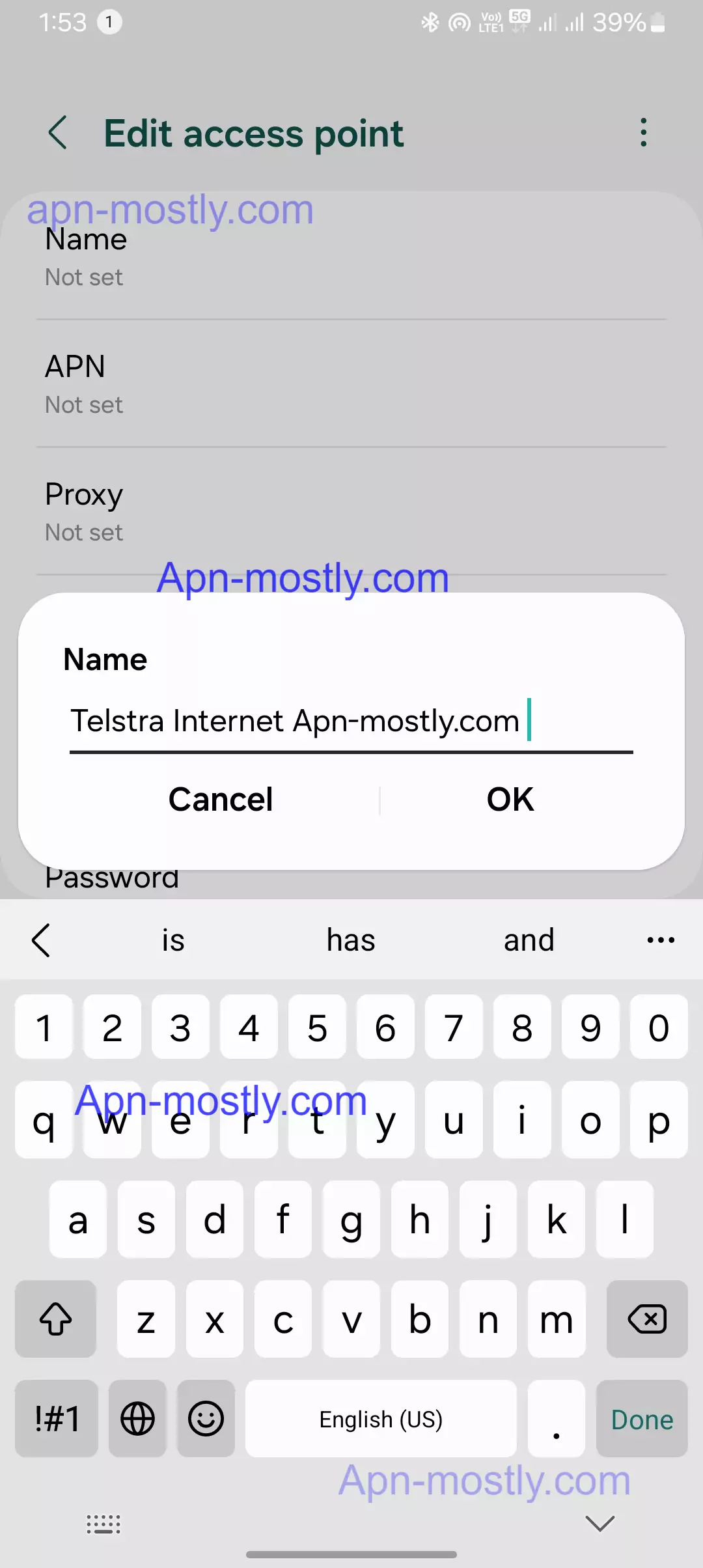 screenshot of naming the telstra apn for internet