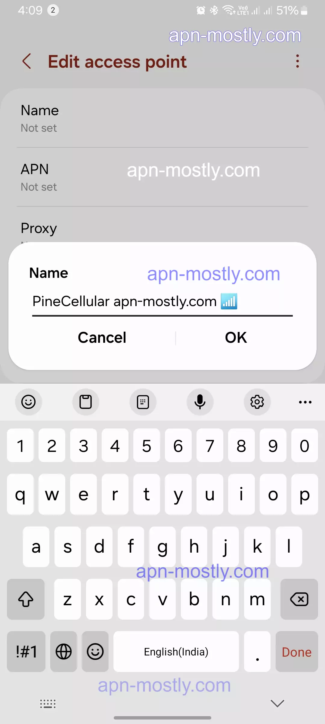 naming the pinecellular internet apn screenshot