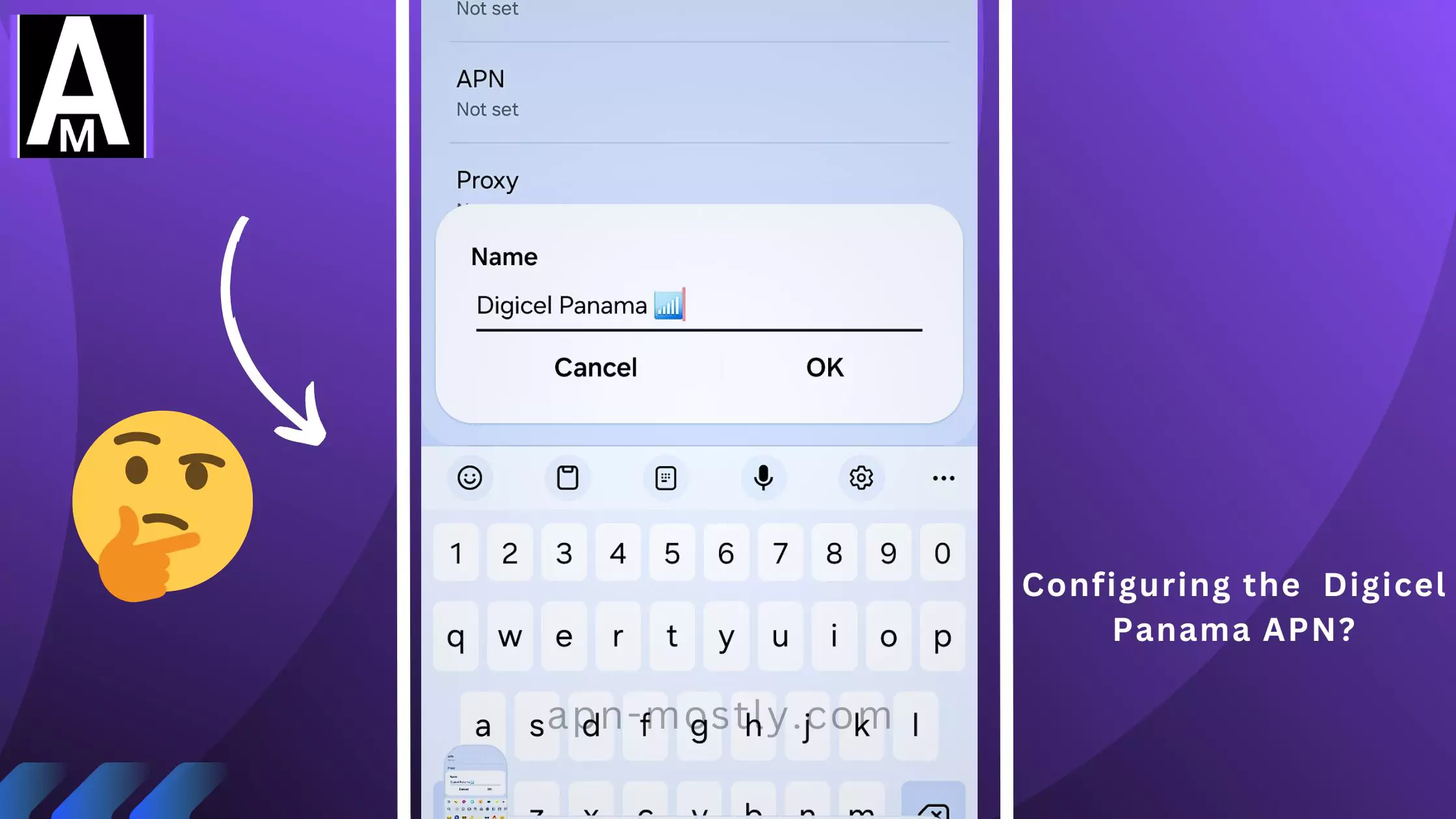 screenshot of editing the apn for digicel with same overlay text with thinking emoji