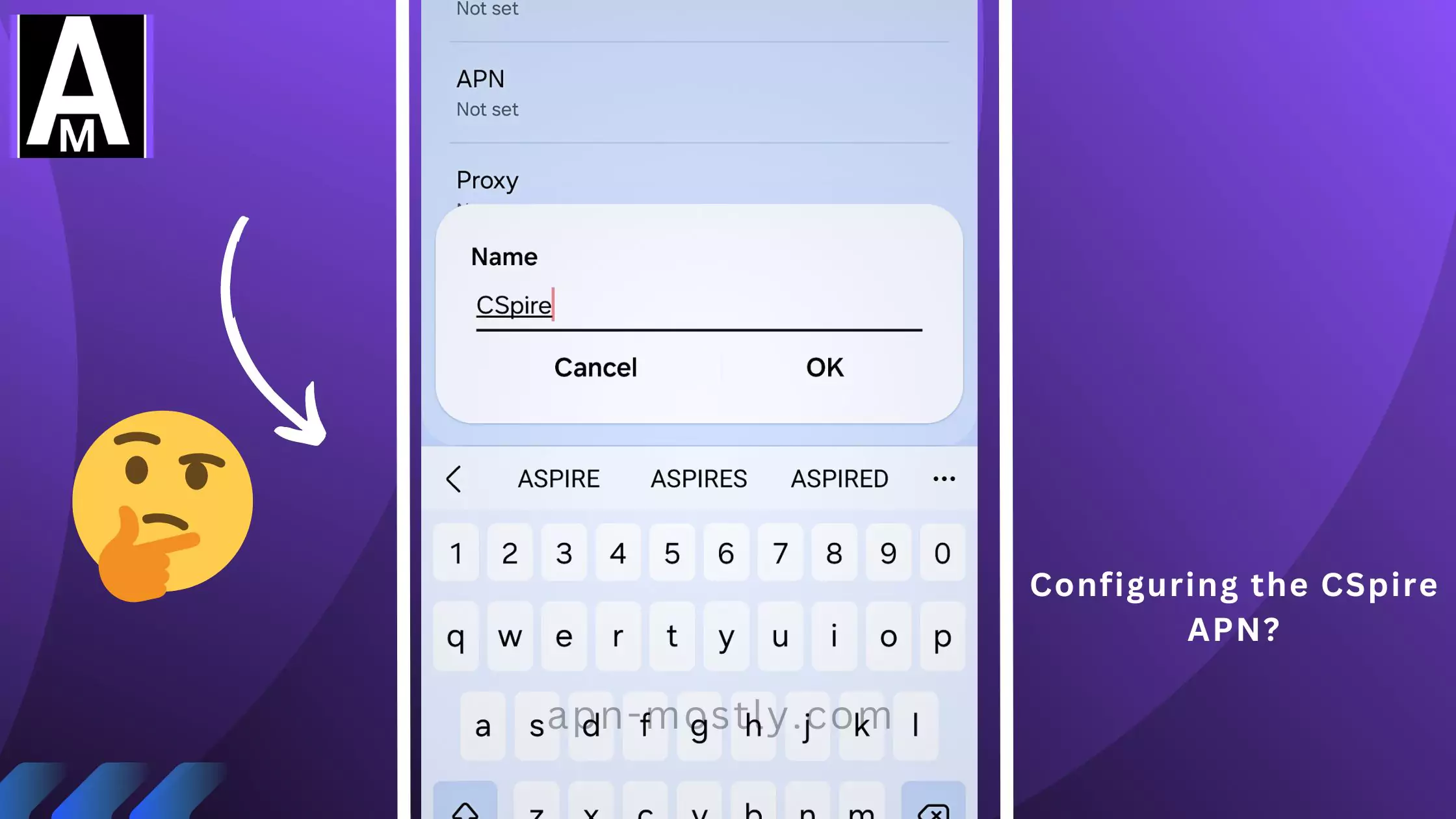 screenshot of editing the cspire apn with thinking emoji