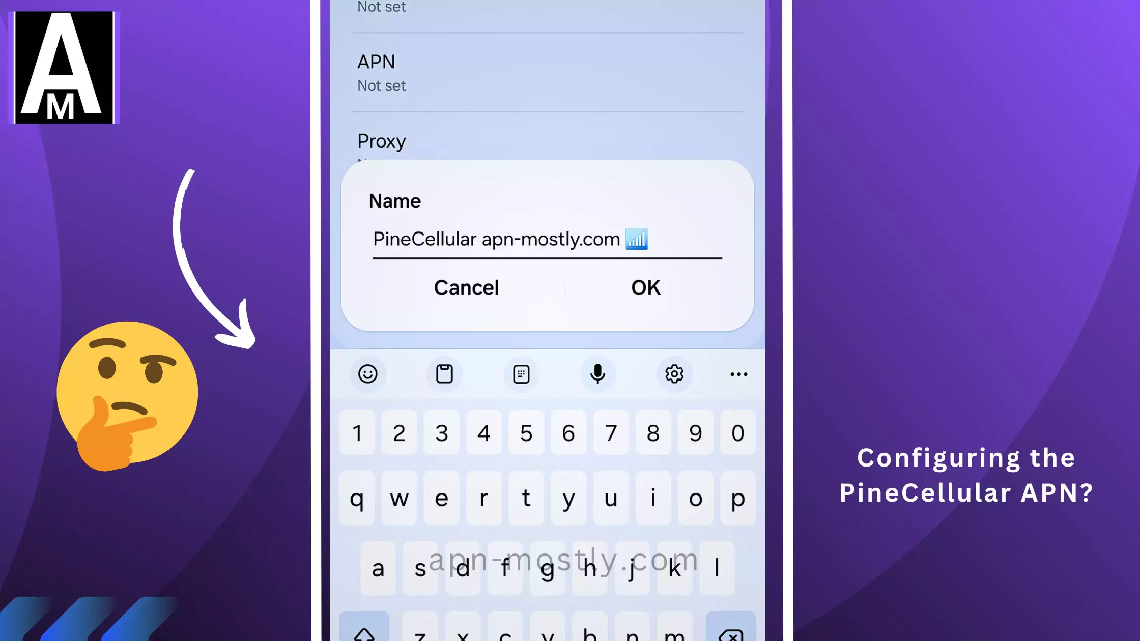 screenshot of naming the internet settings pinecellular with overlay text and thinking emoji