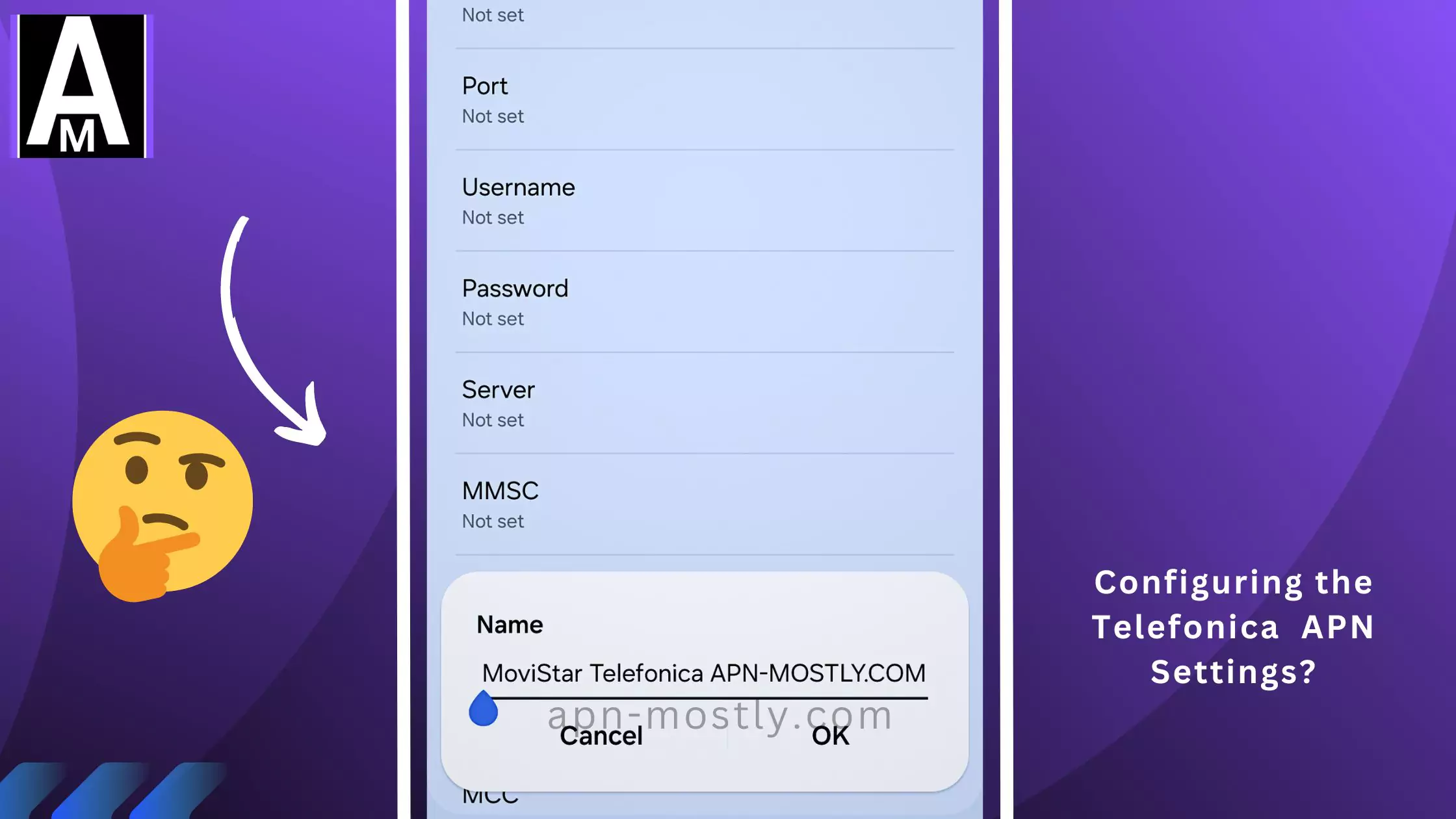 screenshot of configuring the Telefonica apn with thinking emoji and text