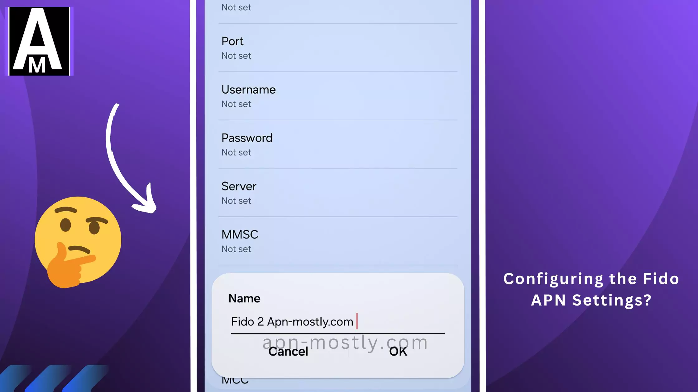 screenshot of editing or configuring the apn settings for fido with thinking emoji