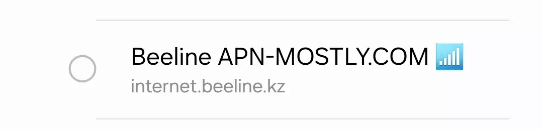 cropped screenshot of beeline apn mostly