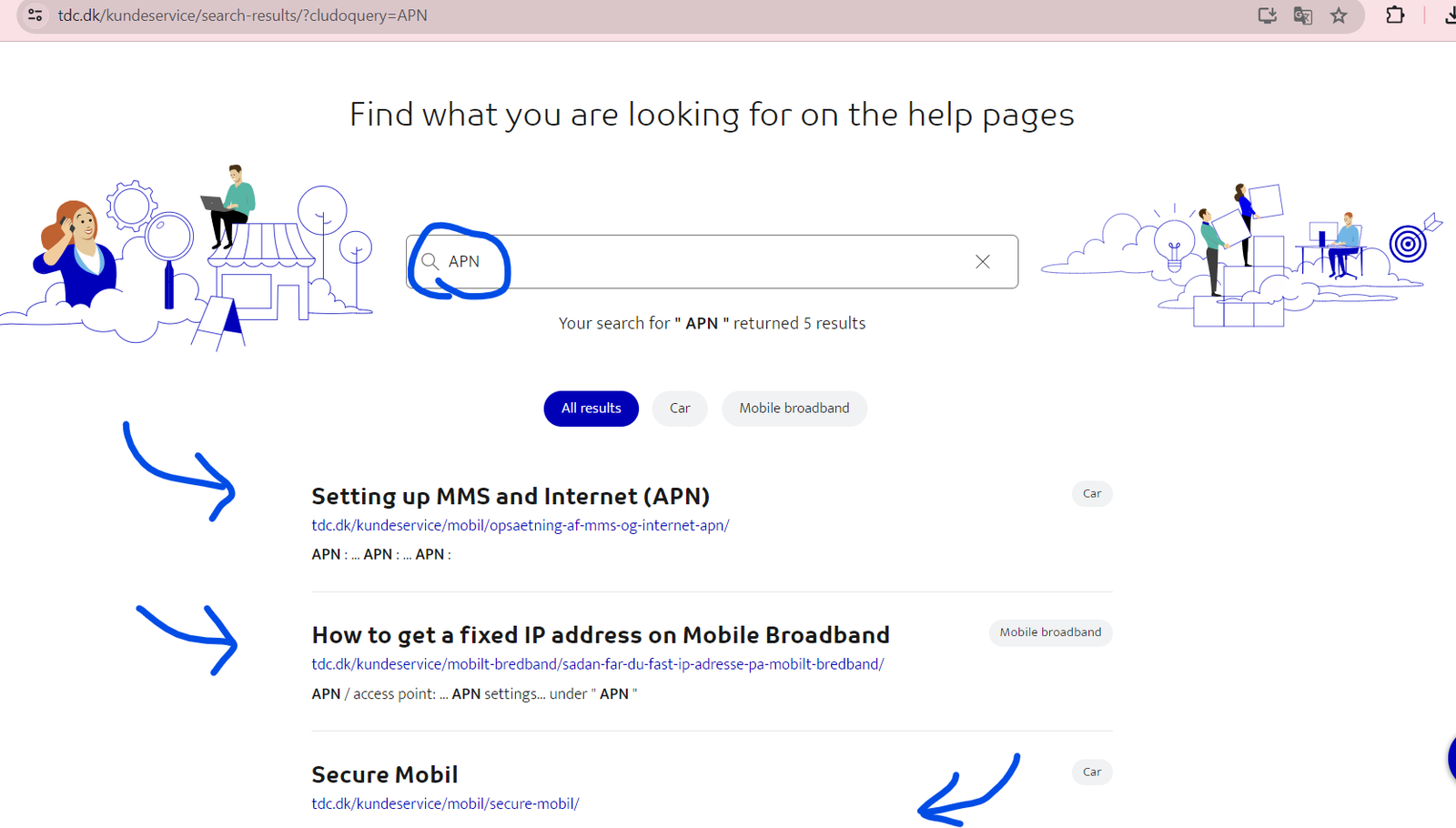 screenshot of TDC.DK website with searched apn in the help section