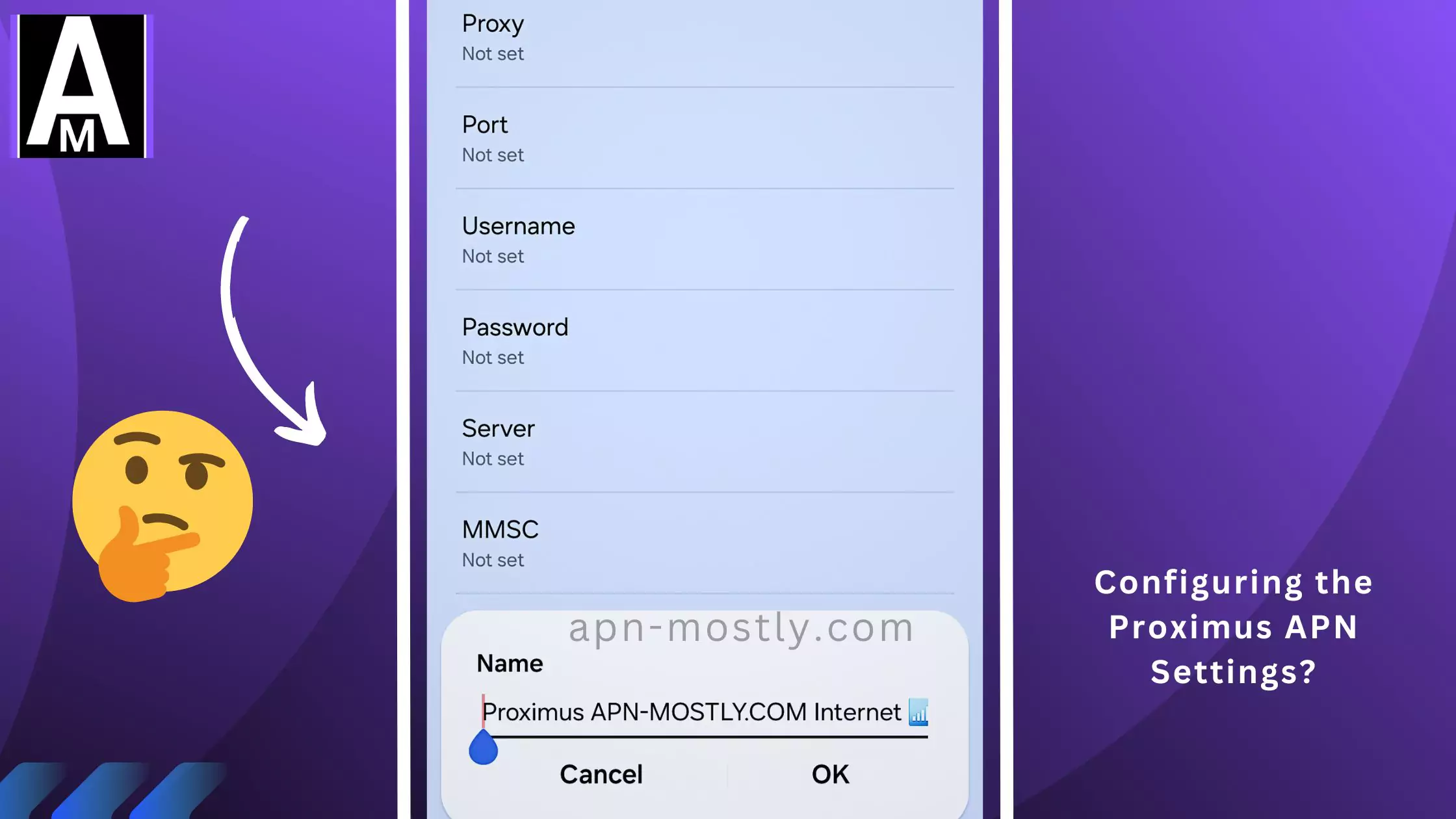 screenshot of configuring the APN for Proximus internet with thinking emoji