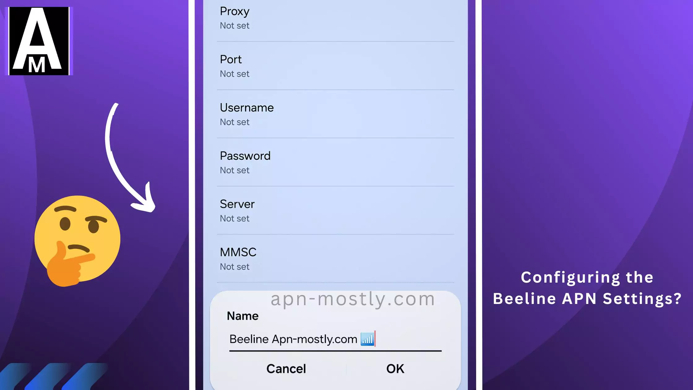 screenshot of configuring the apn for Beeline with thinking emoji