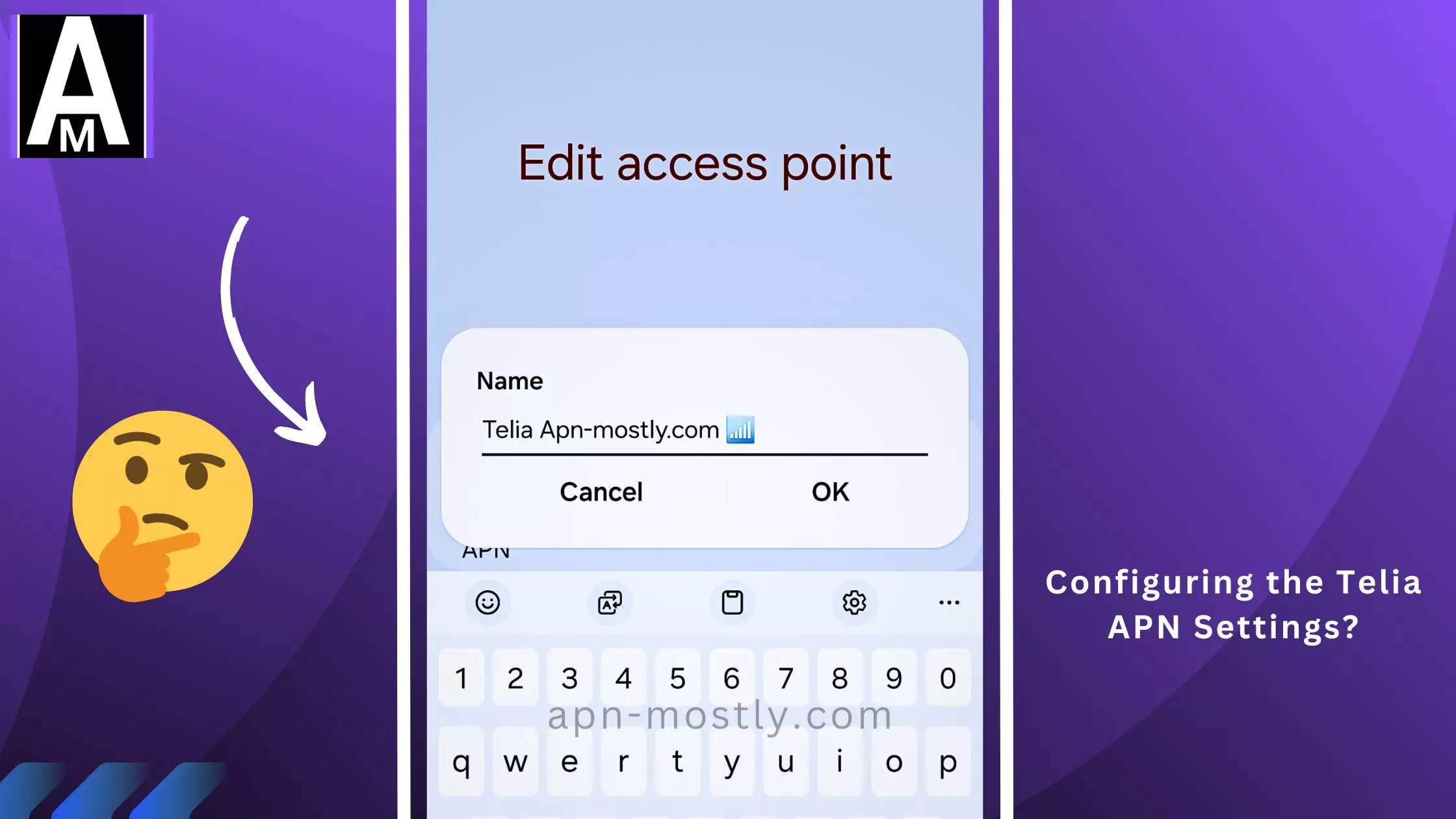 screenshot of editing the telia apn with same overlay text with thinking emoji