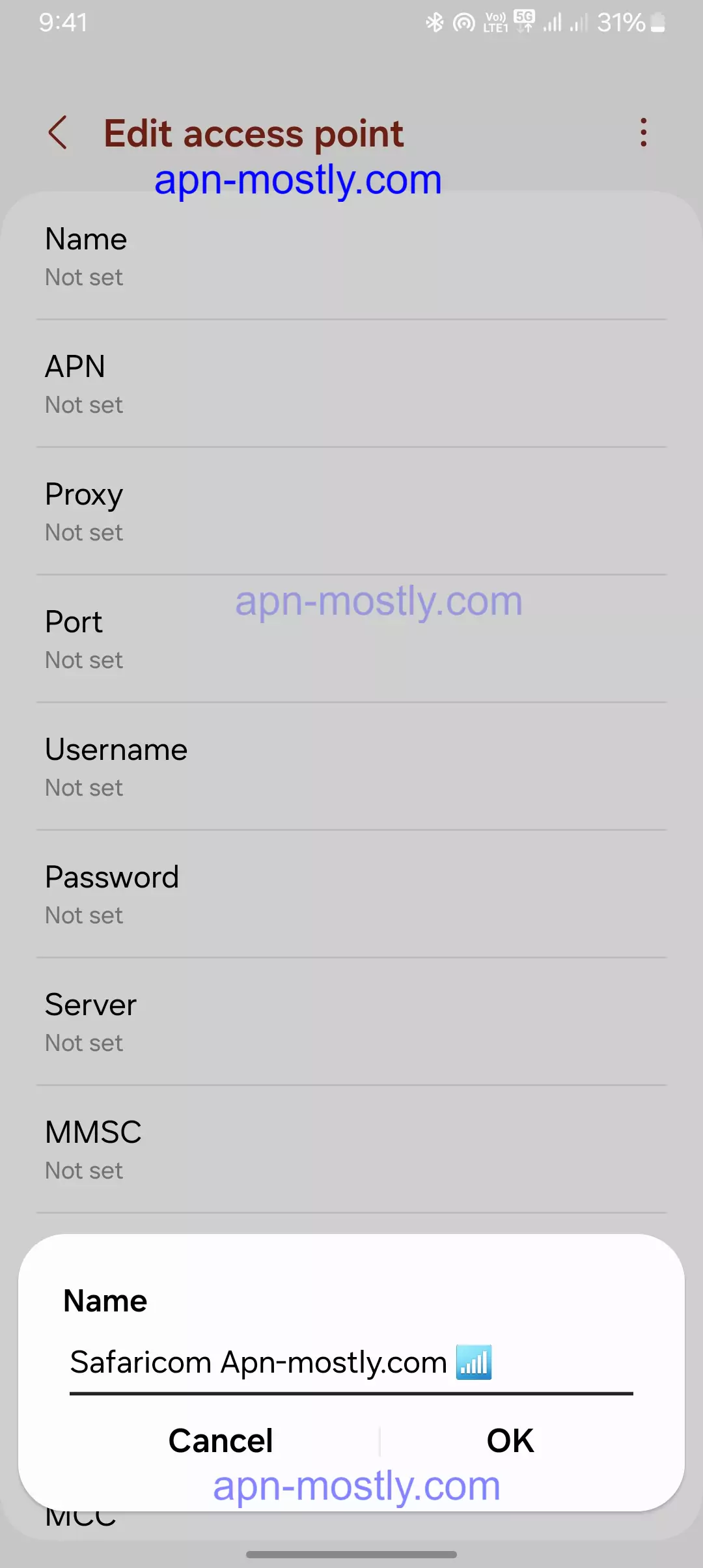 screenshot of naming the apn settings for Beeline