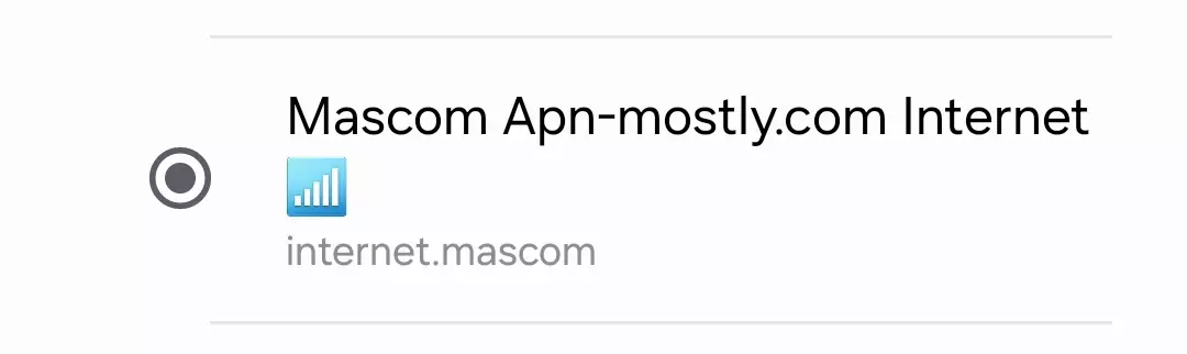 cropped screenshot of mascom internet apn mostly.com