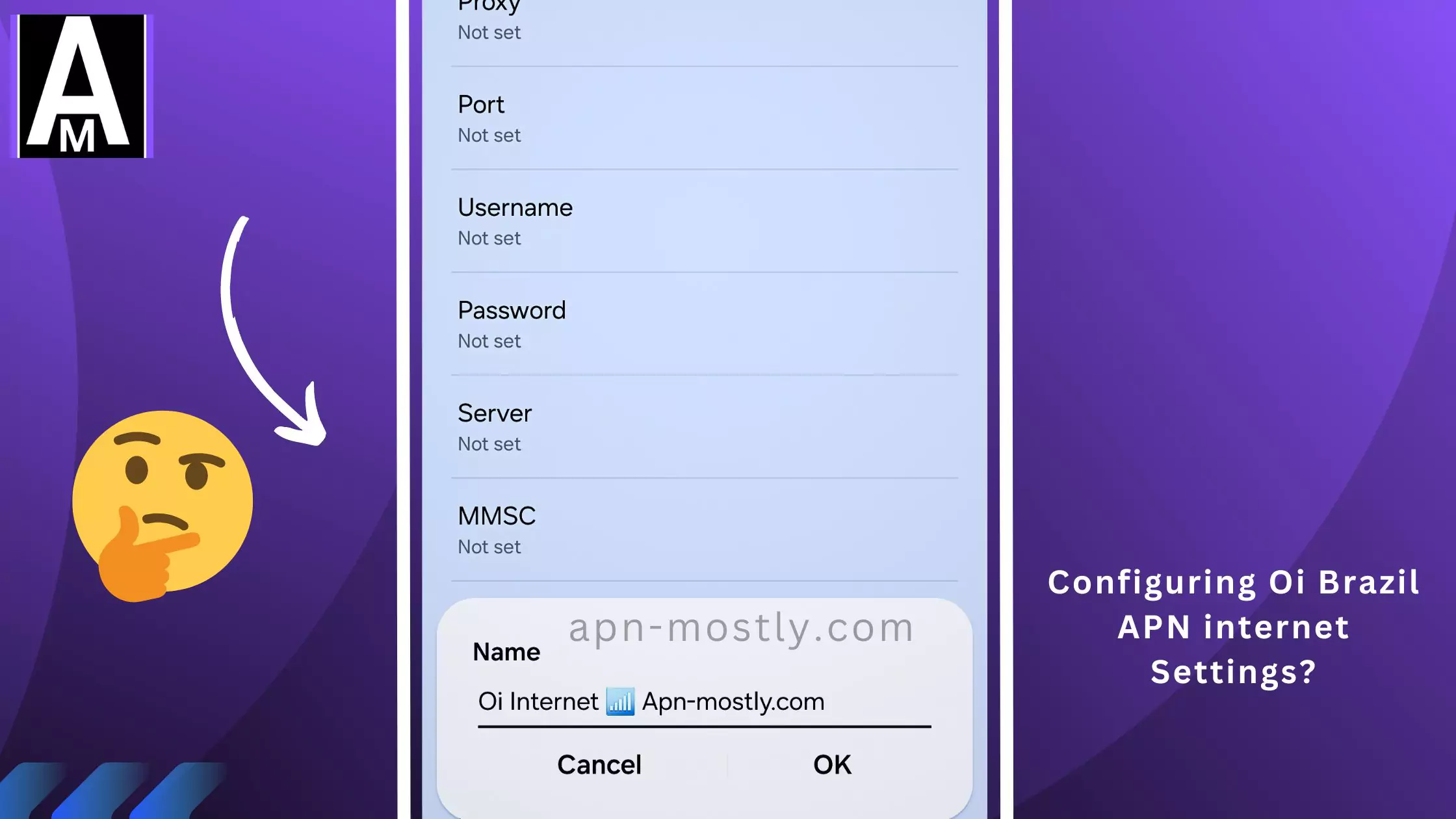 screenshot of configuring the Oi Brazil apn with same overlay text and thinking emoji