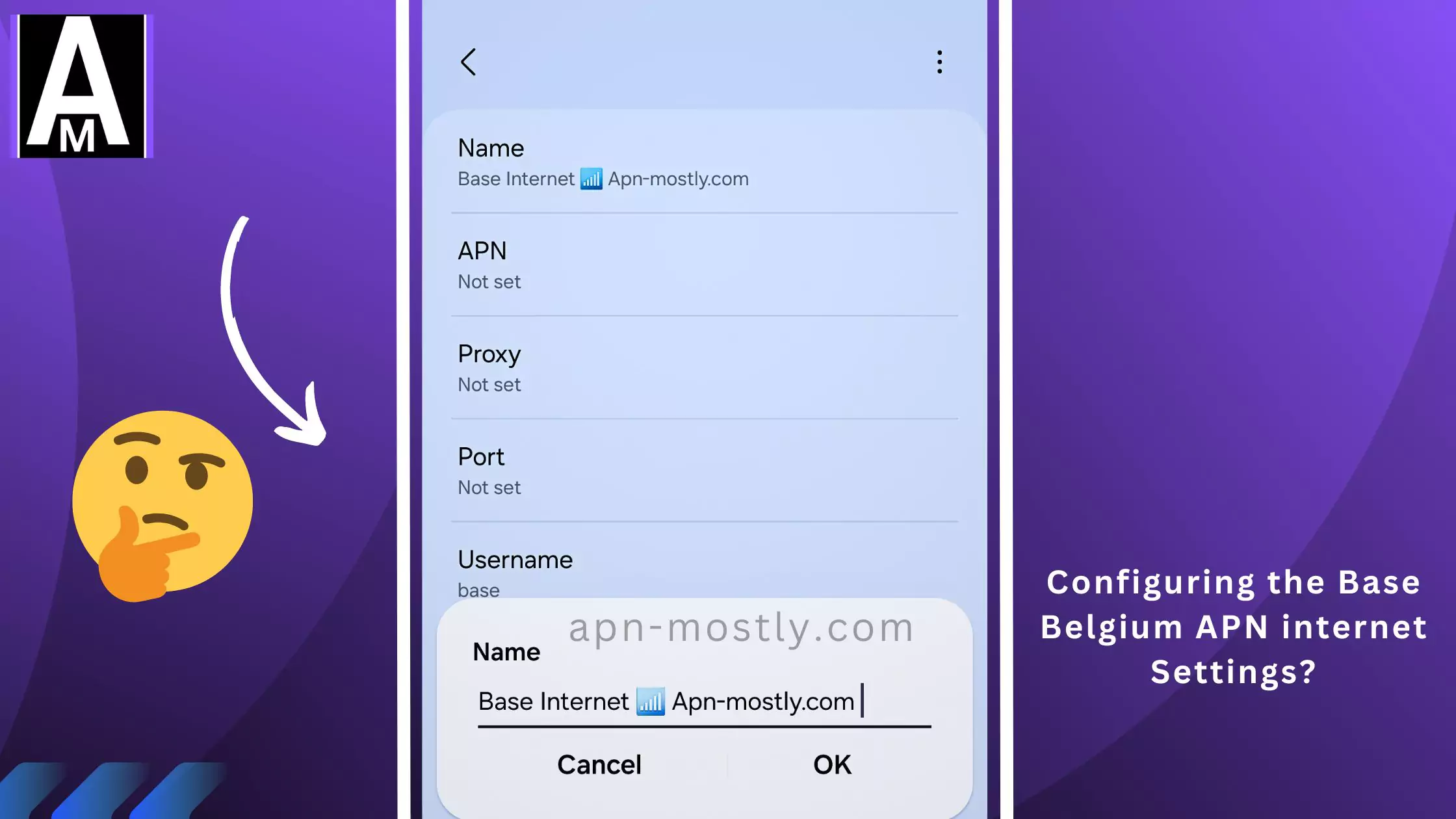 screenshot of configuring the internet for base belgium with thiking emoji