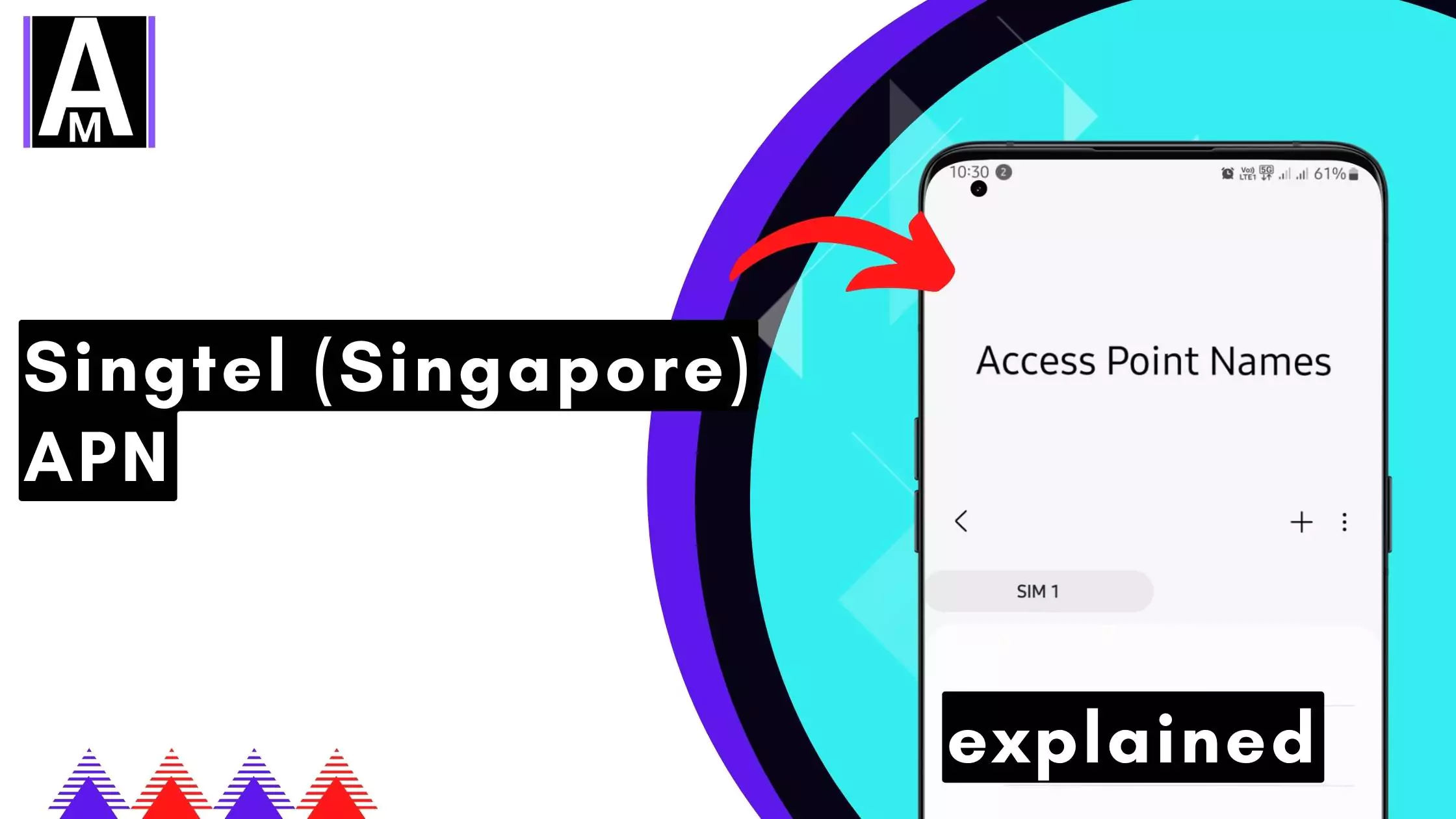 screenshot of the Singtel (Singapore) APN with same overlay text