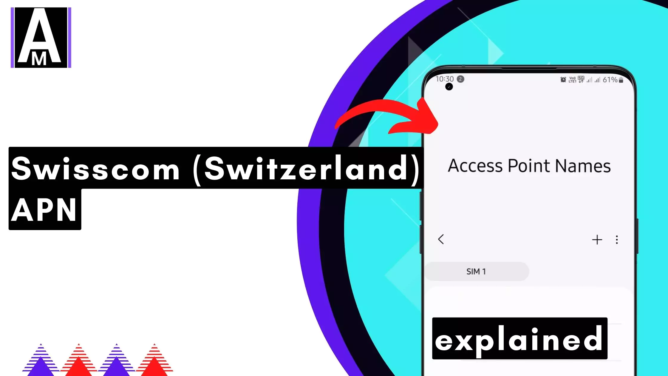 screenshot of the Swisscom (Switzerland) APN with same overlay text